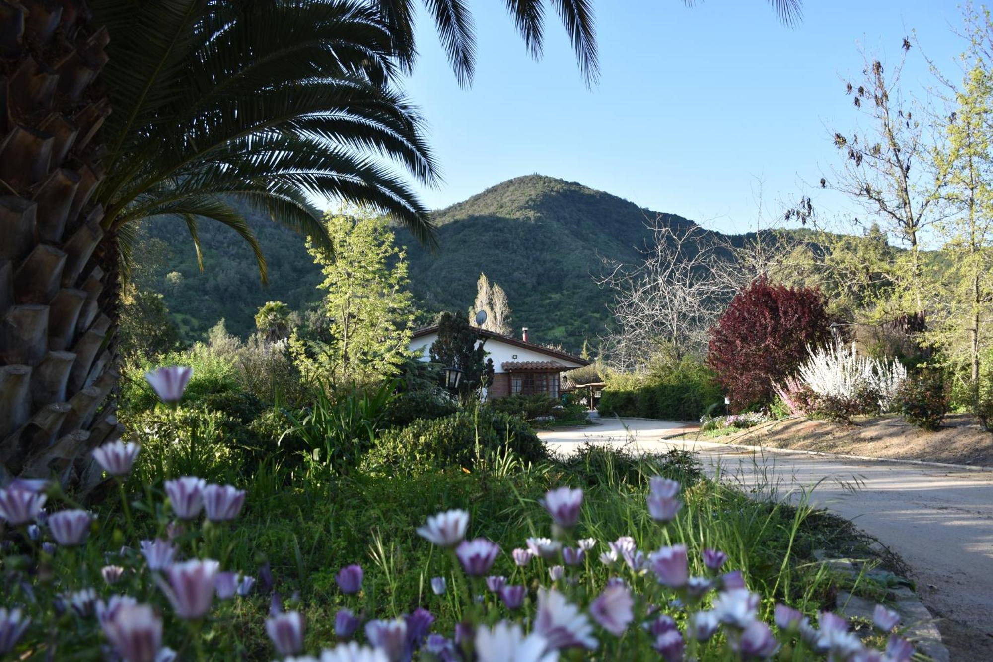 Hotel Boutique Solaz Bella Vista De Colchagua サンタ・クルス エクステリア 写真