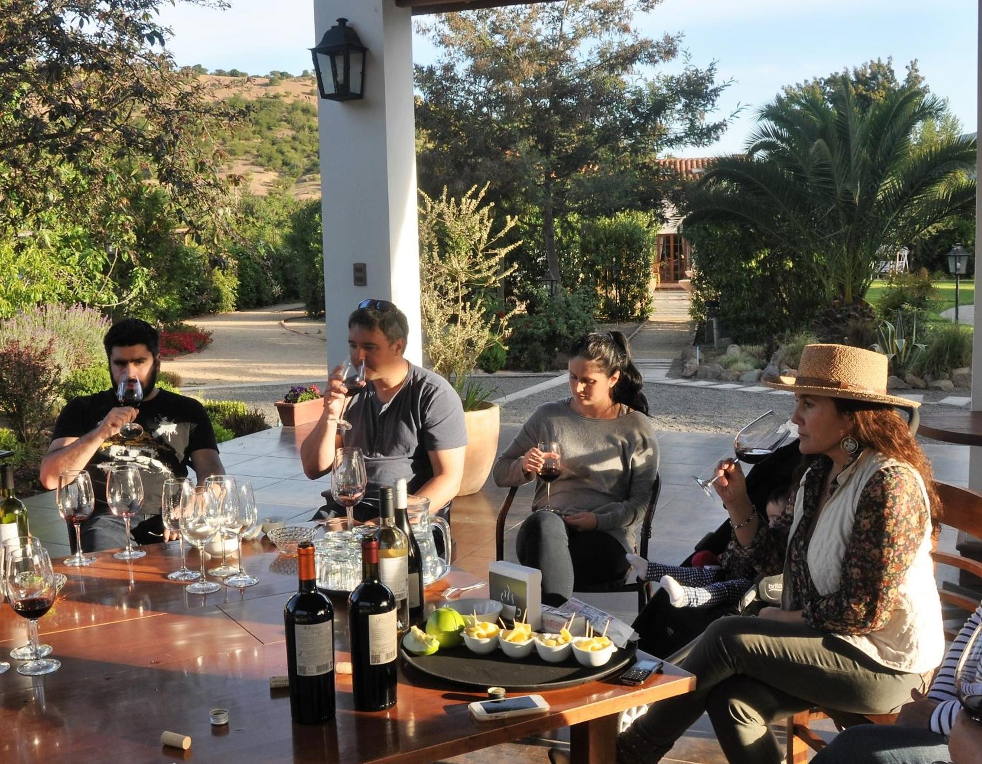 Hotel Boutique Solaz Bella Vista De Colchagua サンタ・クルス エクステリア 写真