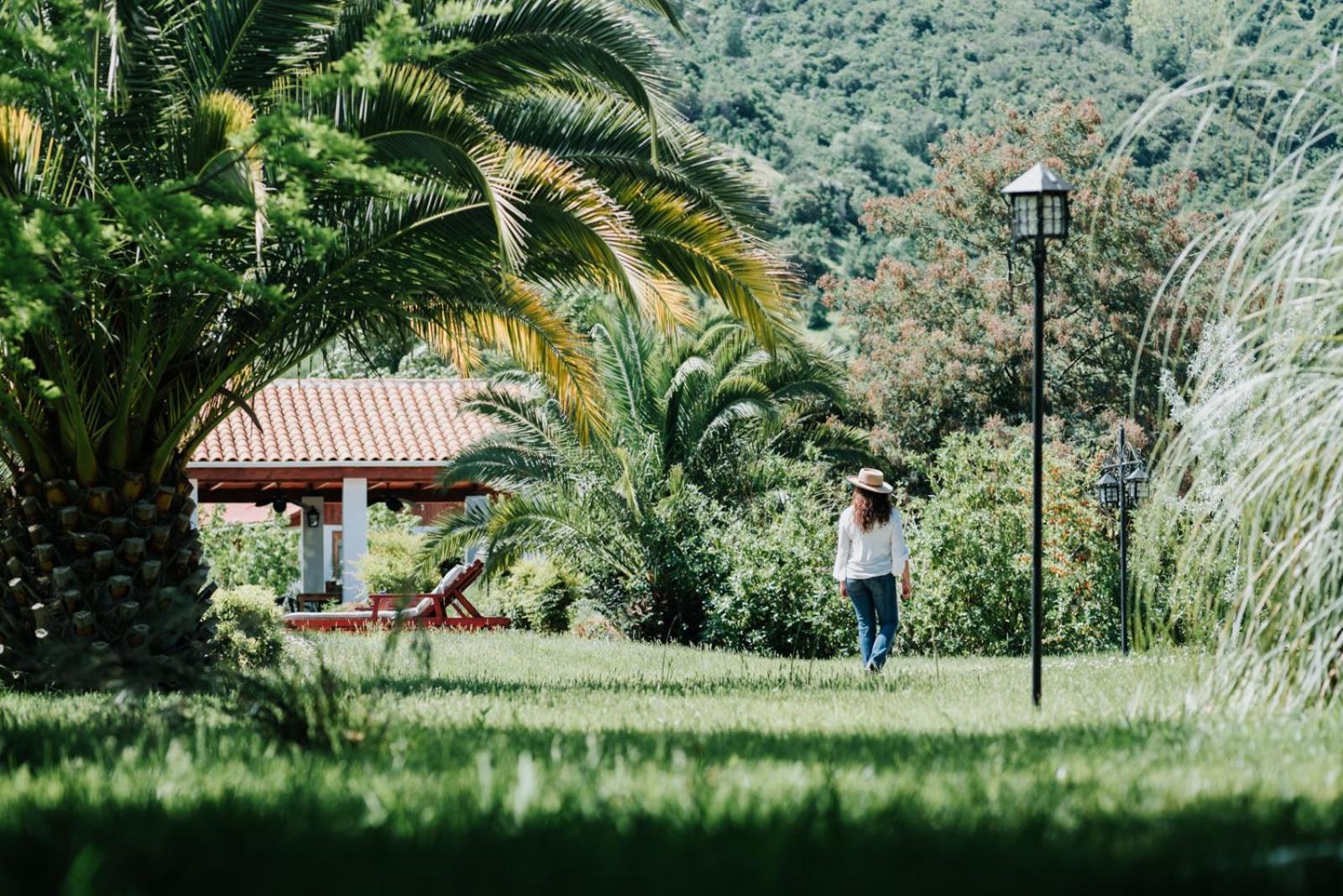 Hotel Boutique Solaz Bella Vista De Colchagua サンタ・クルス エクステリア 写真