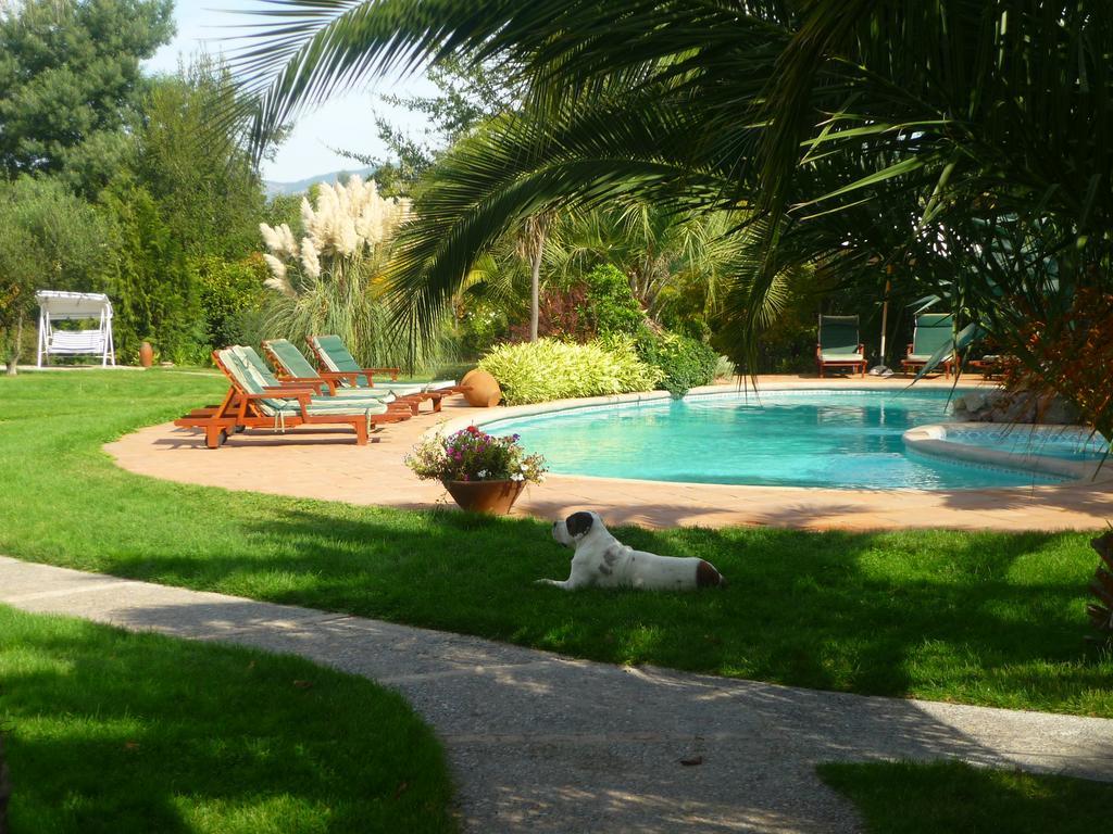 Hotel Boutique Solaz Bella Vista De Colchagua サンタ・クルス エクステリア 写真
