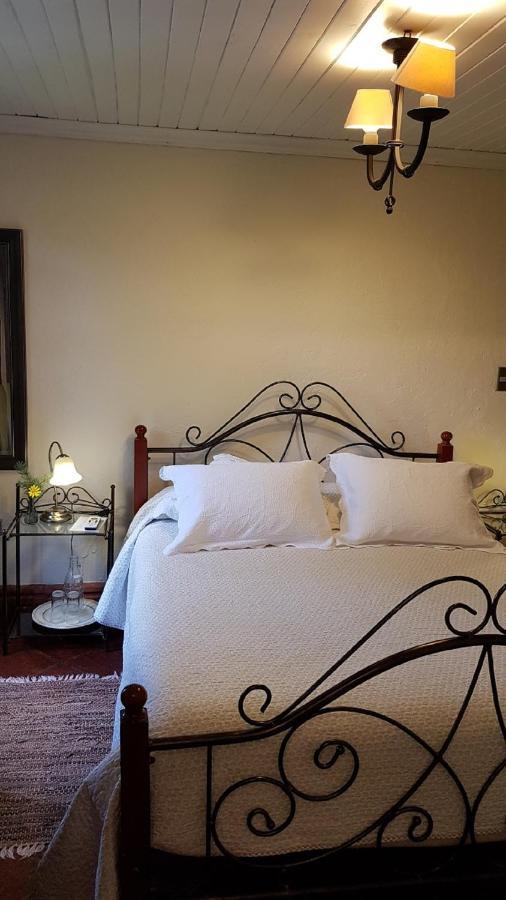 Hotel Boutique Solaz Bella Vista De Colchagua サンタ・クルス エクステリア 写真